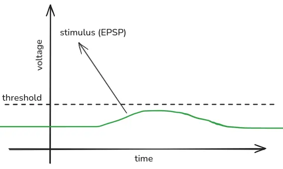 EPSP graph