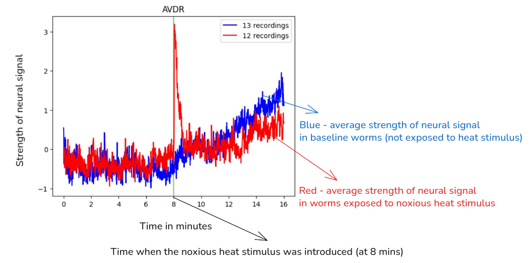 AVDR graph